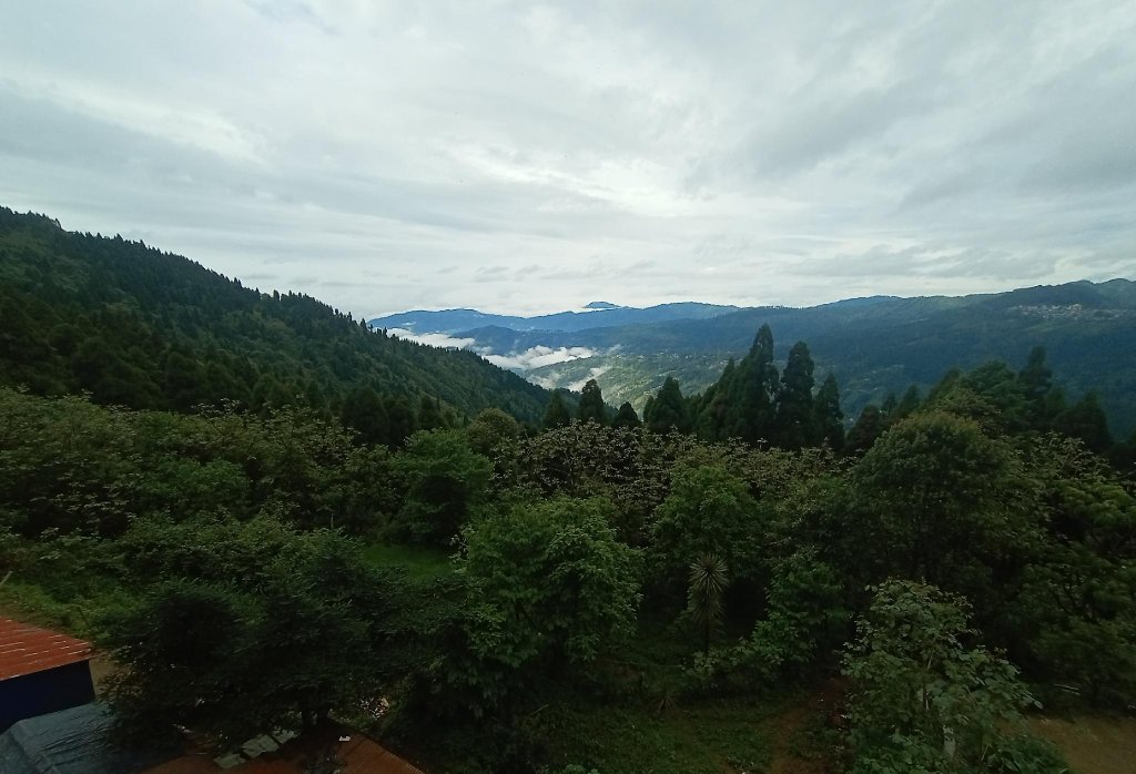 darjeeling