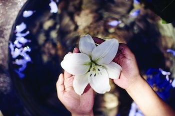 san miguel de allende