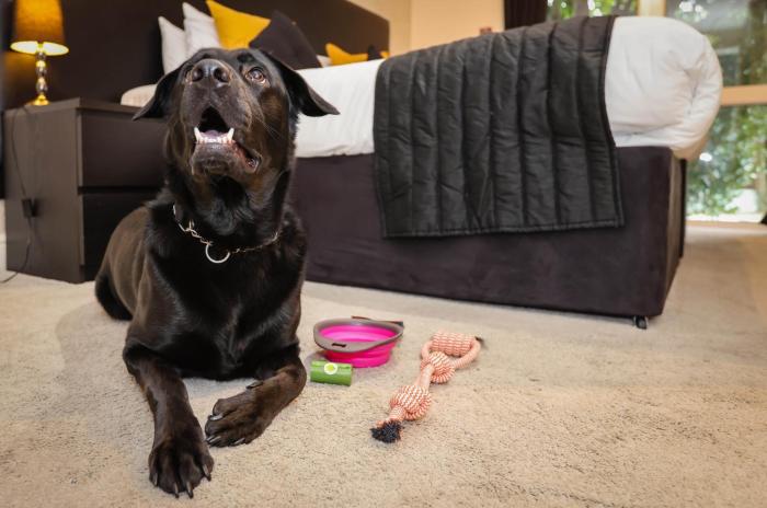 the ashleigh dog friendly