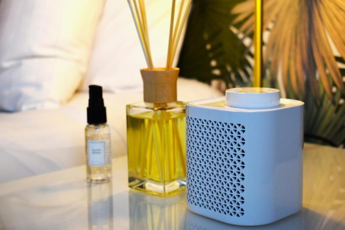 the ashleigh dog friendly