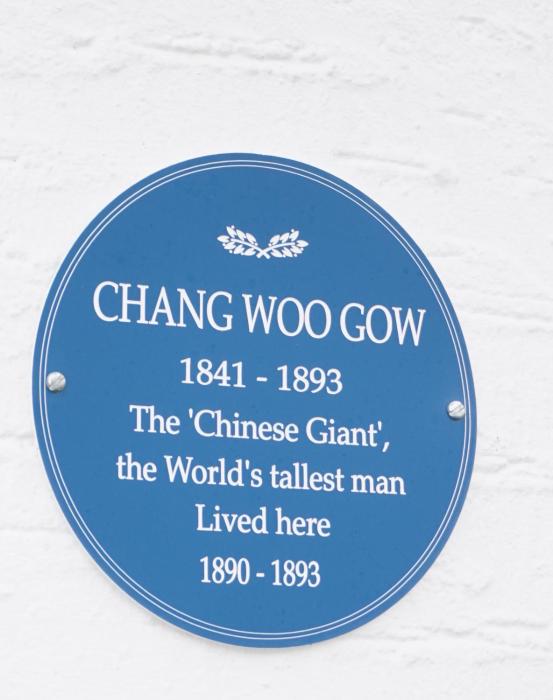 the ashleigh dog friendly