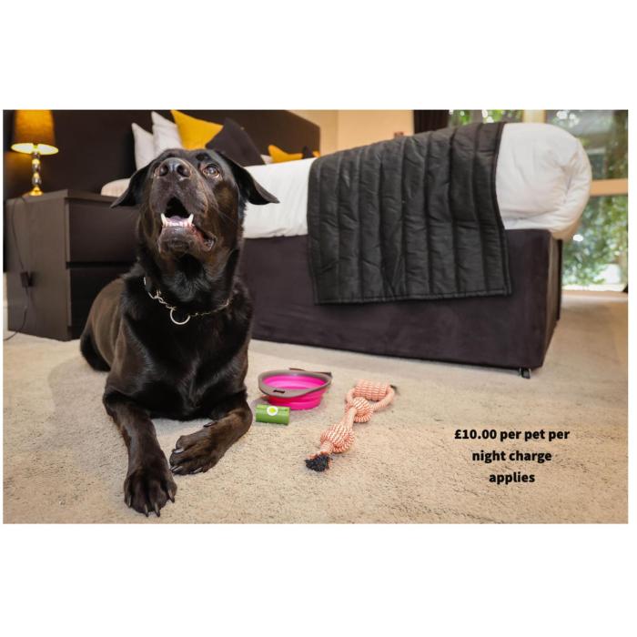 the ashleigh dog friendly