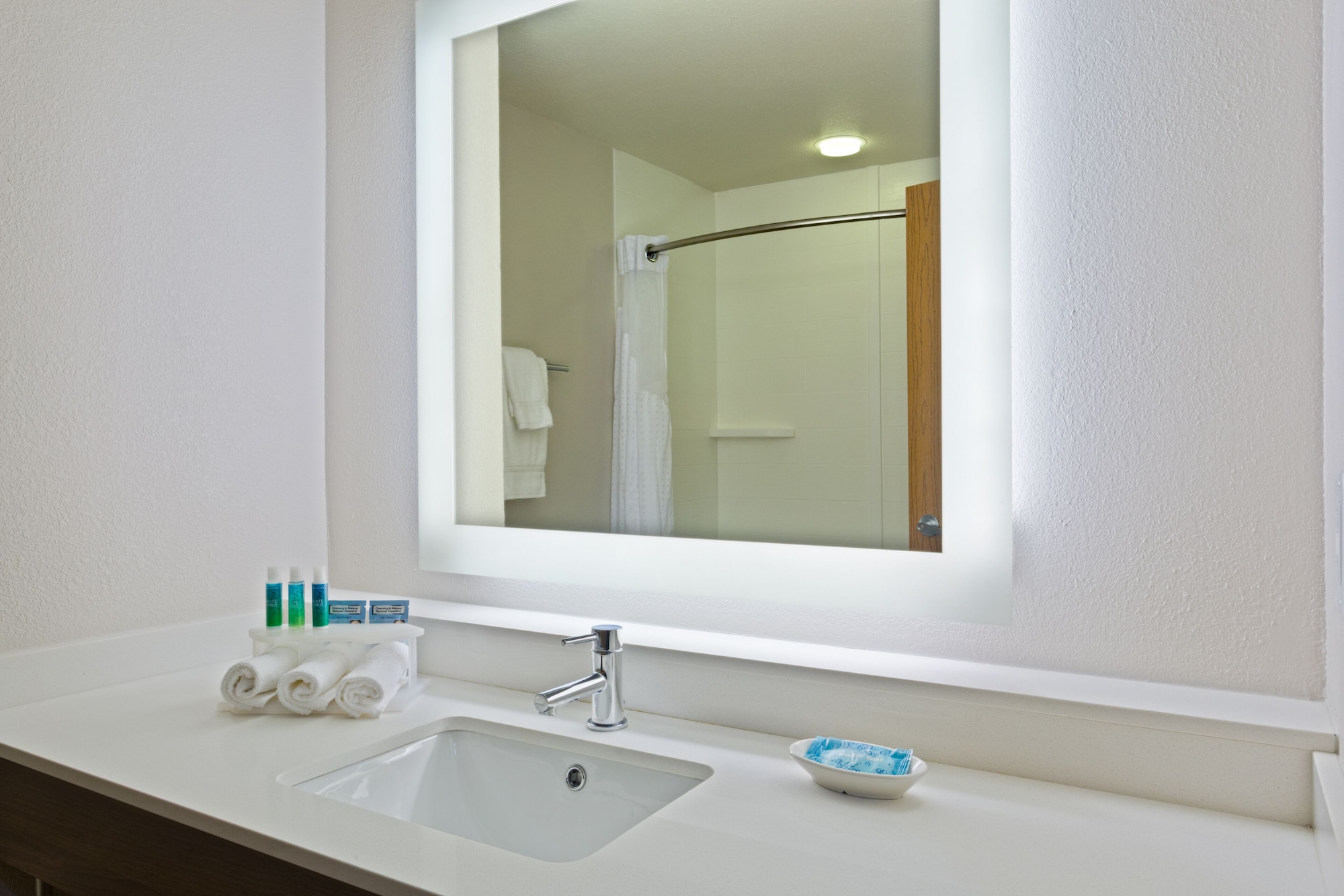 holiday inn express and suites tavares leesburg