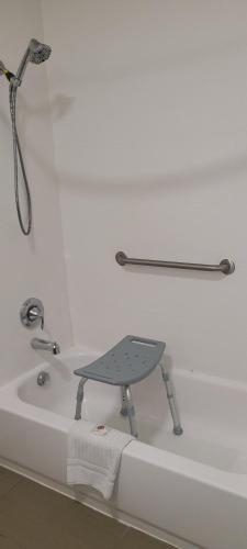 comfort suites new braunfels