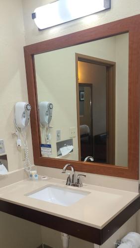 comfort suites new braunfels