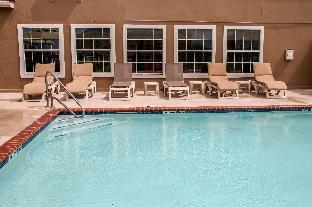 comfort suites new braunfels