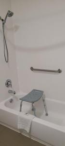 comfort suites new braunfels