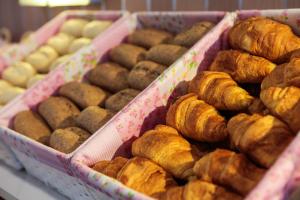 hotel city garden amsterdam