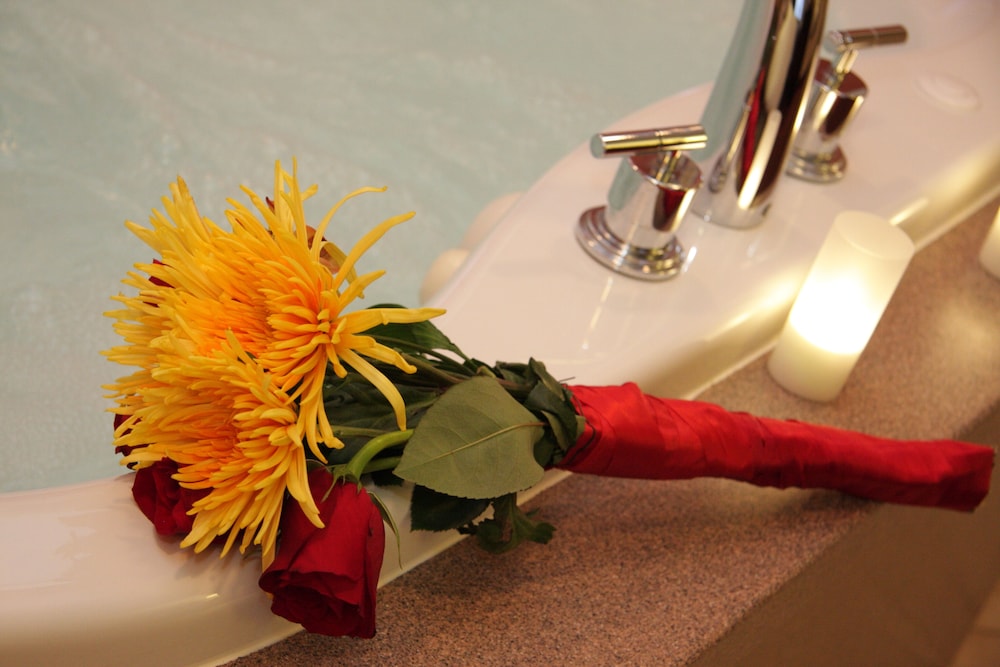 hampton inn joliet plainfield i 55