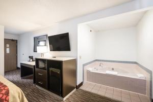 americas best value inn charlotte mi