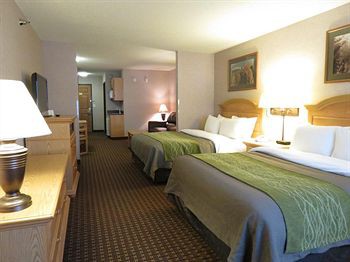 comfort inn and suites custer