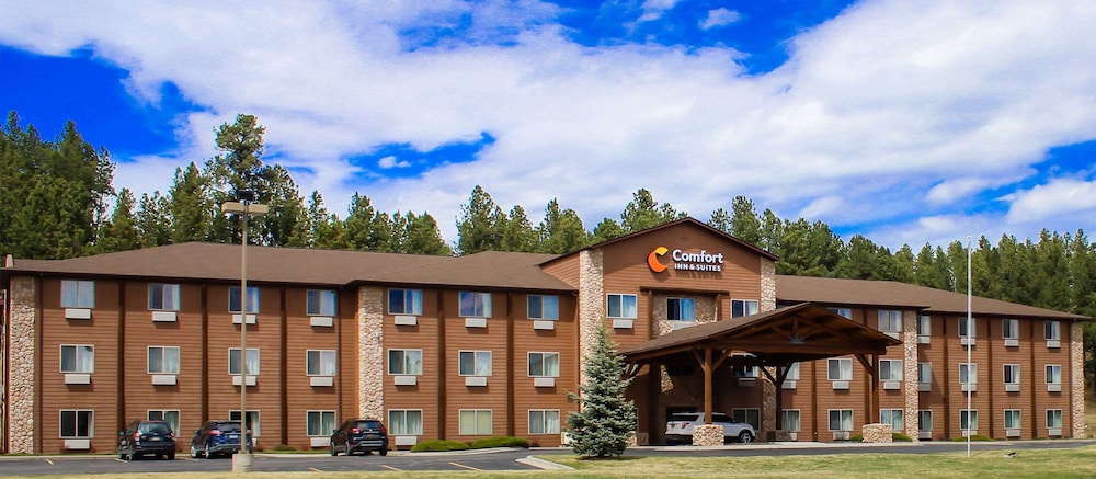 comfort inn and suites custer