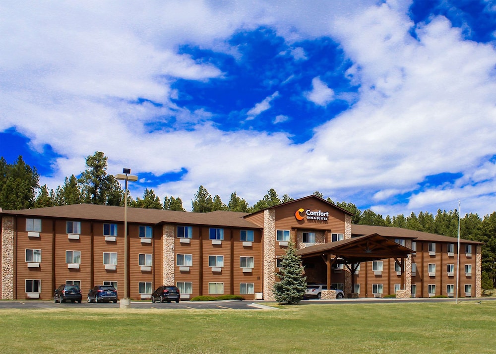 comfort inn and suites custer