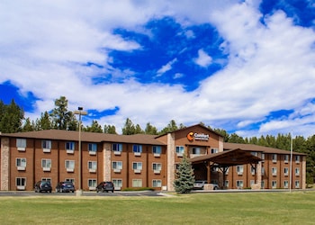 comfort inn and suites custer