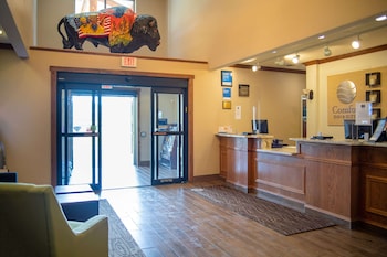 comfort inn and suites custer