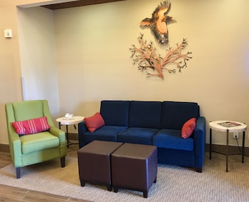 comfort inn and suites custer