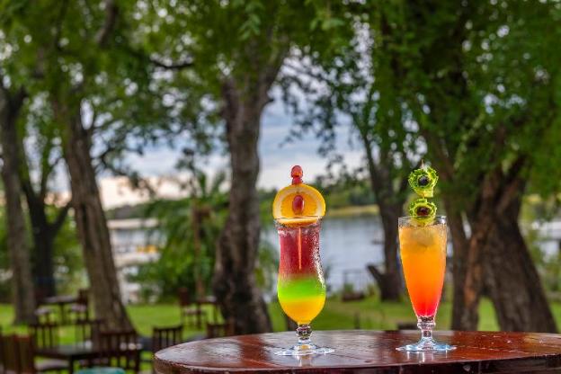 azambezi river lodge