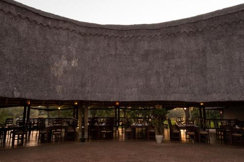 azambezi river lodge