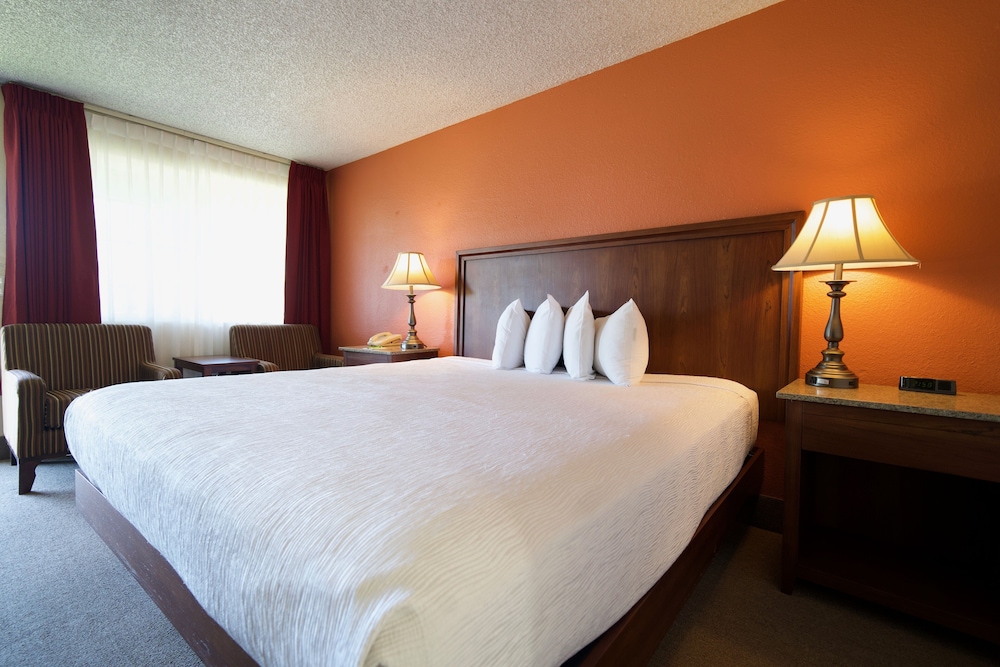 village inn springfield