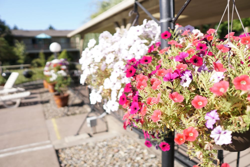 village inn springfield