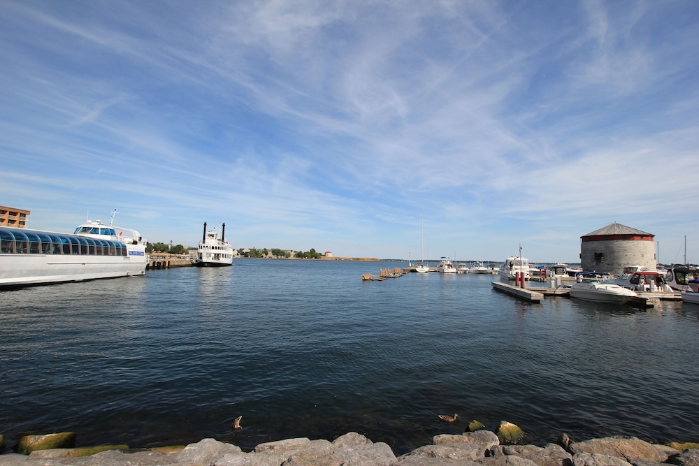 kingston