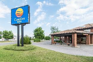comfort inn