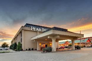 pear tree inn cape girardeau west