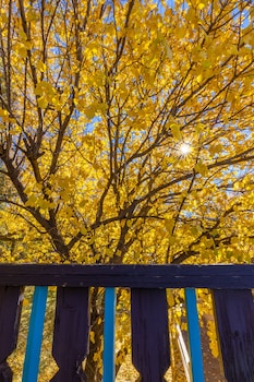 sagebrush inn and suites