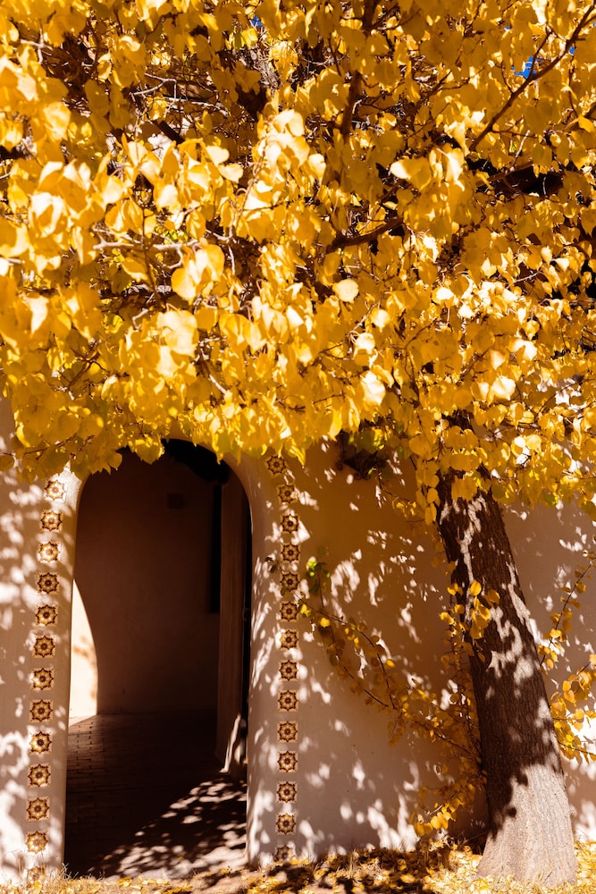 sagebrush inn and suites