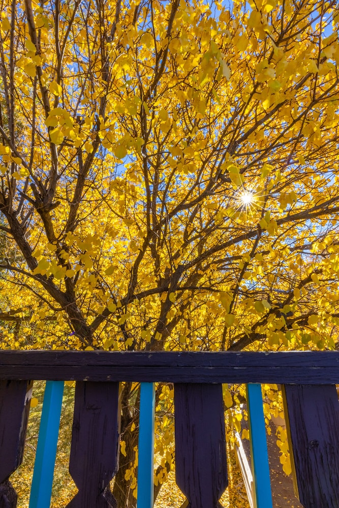 sagebrush inn and suites