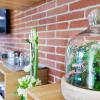 ibis styles toulouse lavaur