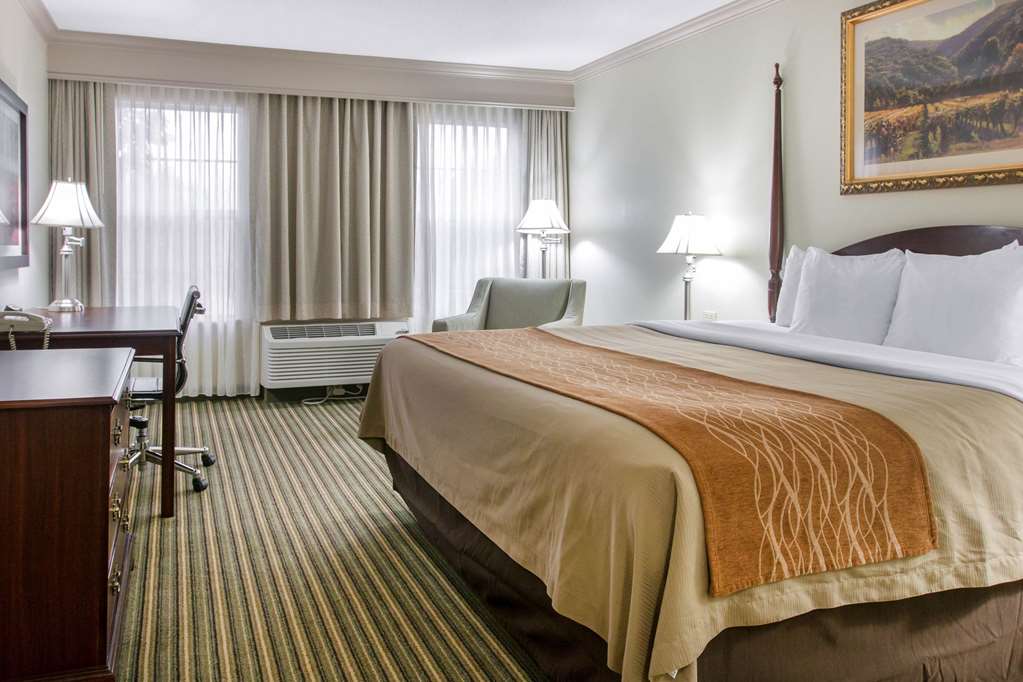 comfort inn plainwell