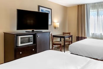 comfort inn and suites paw paw
