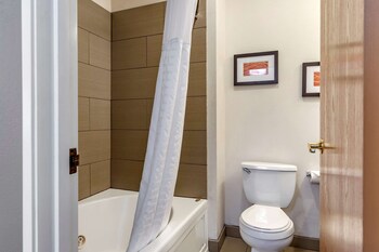 comfort inn and suites paw paw