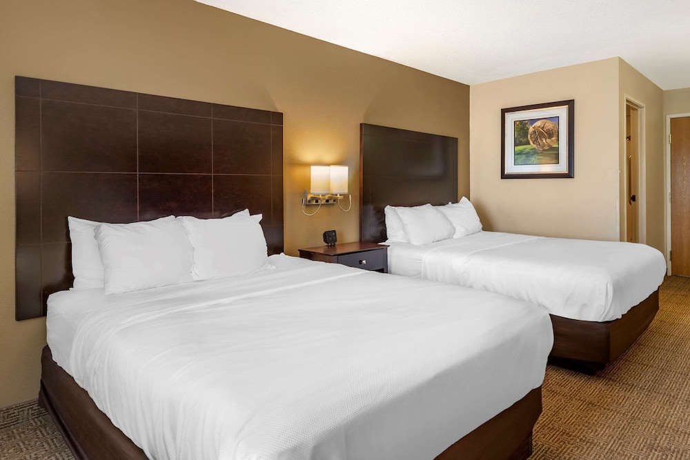 comfort inn and suites paw paw