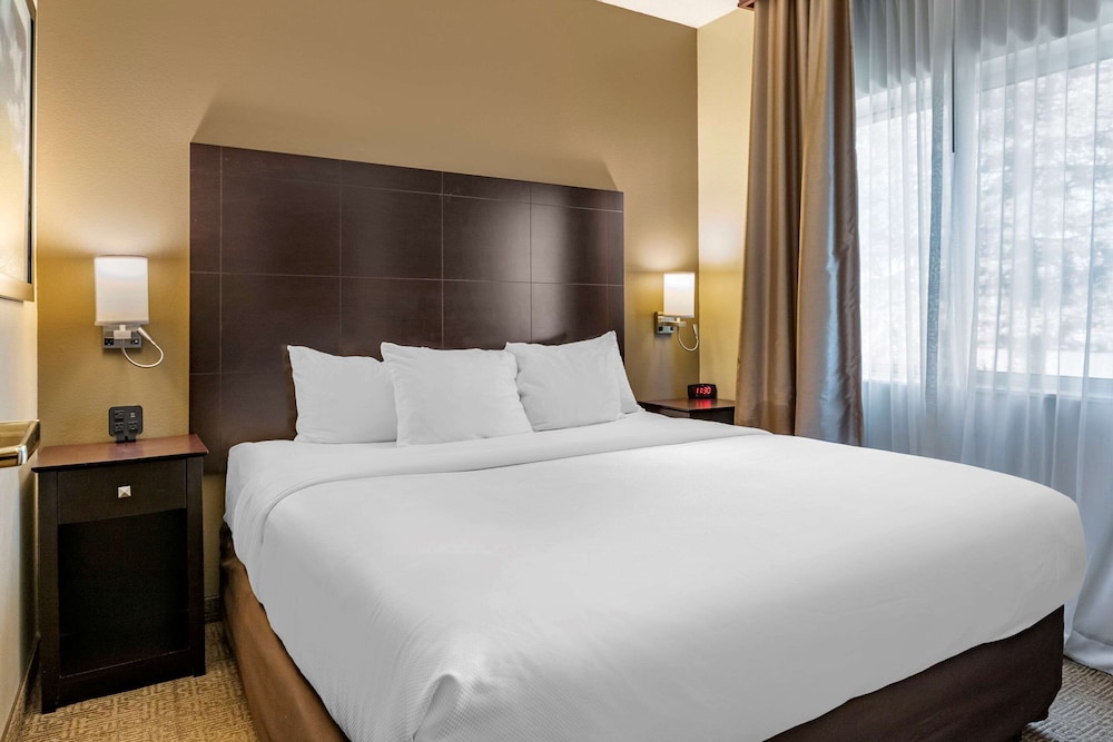 comfort inn and suites paw paw
