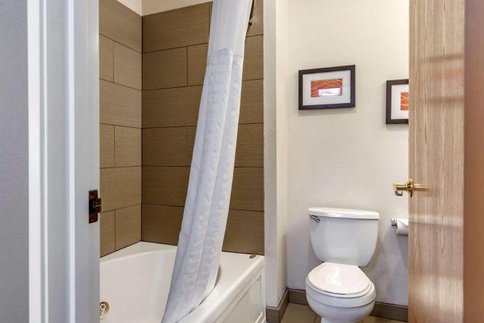 comfort inn and suites paw paw