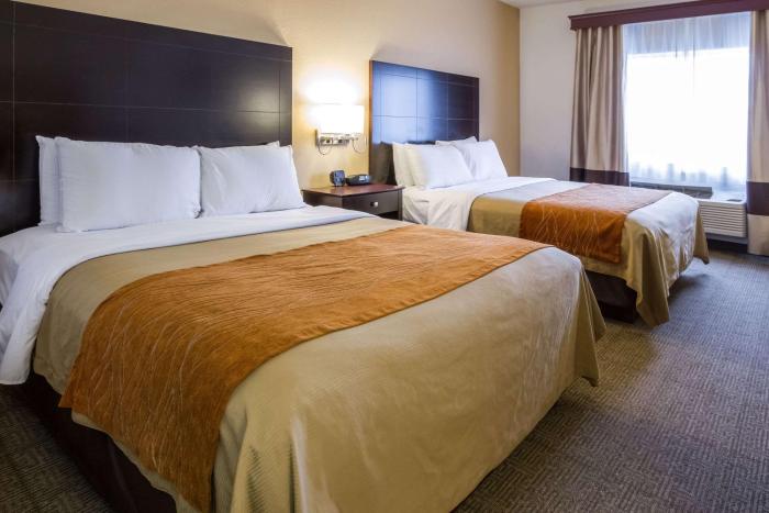 comfort inn and suites paw paw