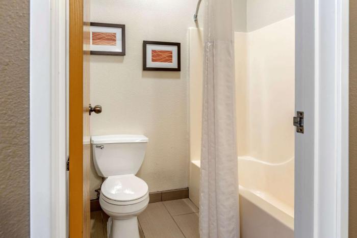 comfort inn and suites paw paw