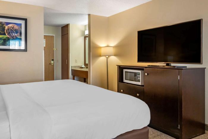 comfort inn and suites paw paw