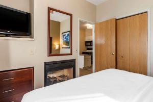 comfort inn and suites paw paw