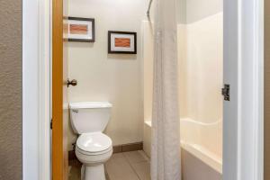 comfort inn and suites paw paw