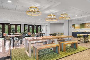 spark by hilton winchester