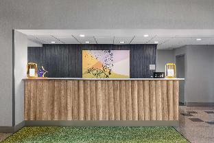 spark by hilton winchester