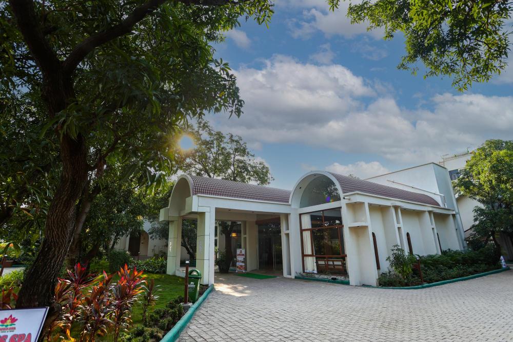 the lions land resort