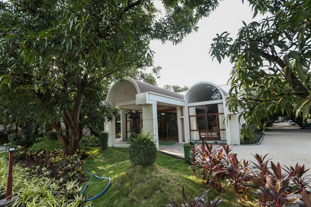 the lions land resort