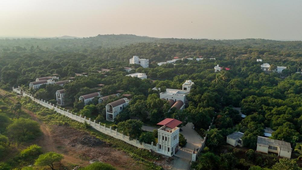 the lions land resort