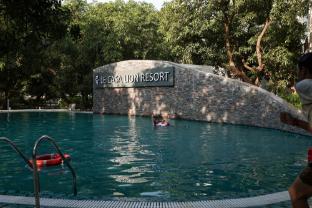 the lions land resort