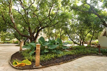 the lions land resort