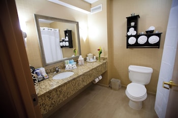 Holiday Inn Express And Suites Vineland Millville By Ihg,Cumberland County>>Cumberland,3 star
